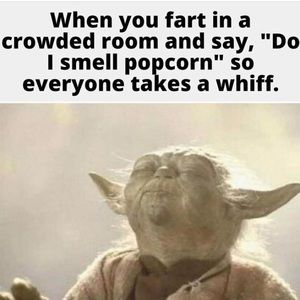 Meet your Posher, Bonnie